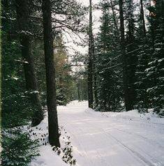 Tainter Trail Tamers Snowmobile Club