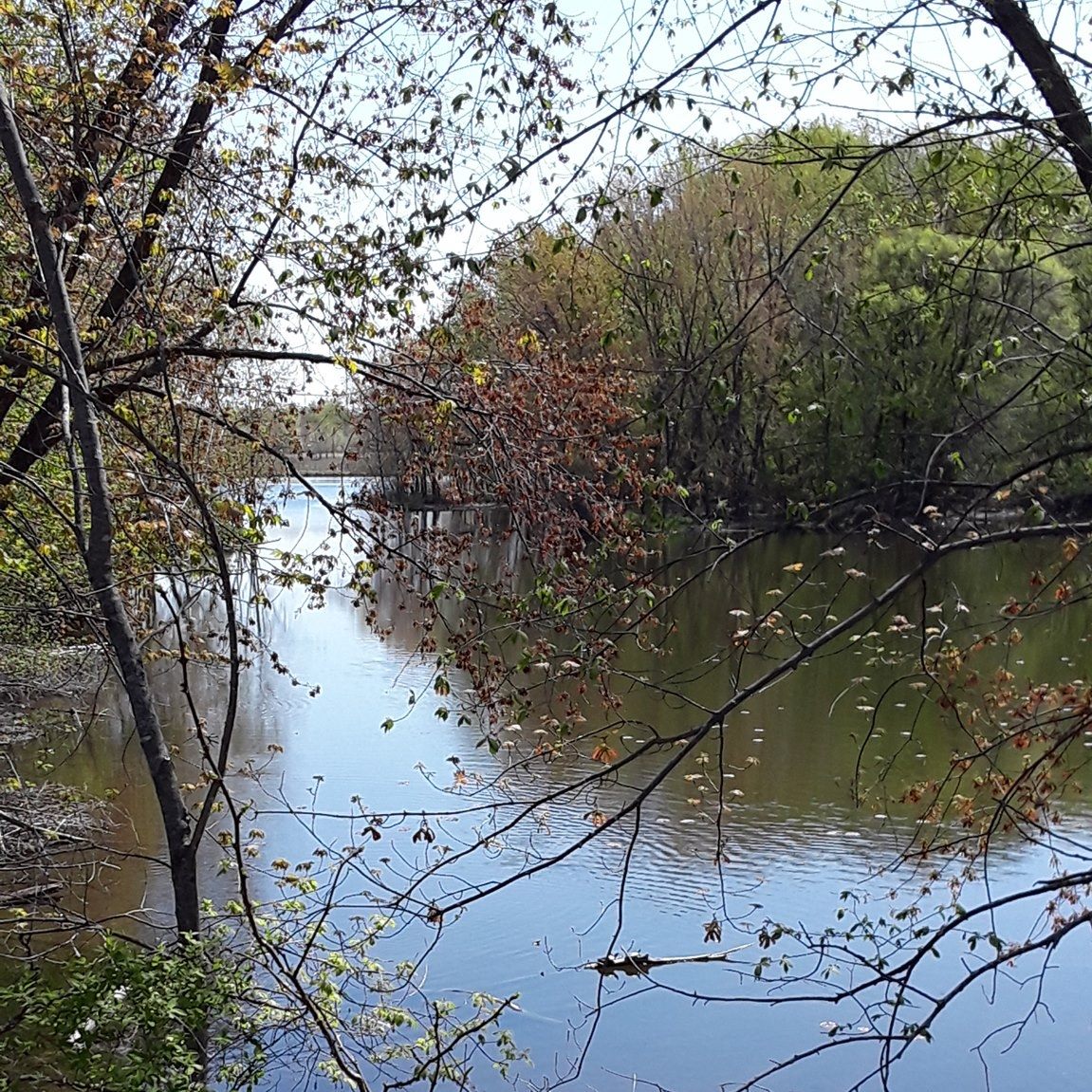 Colfax Red Cedar Preserve & Recreation Area