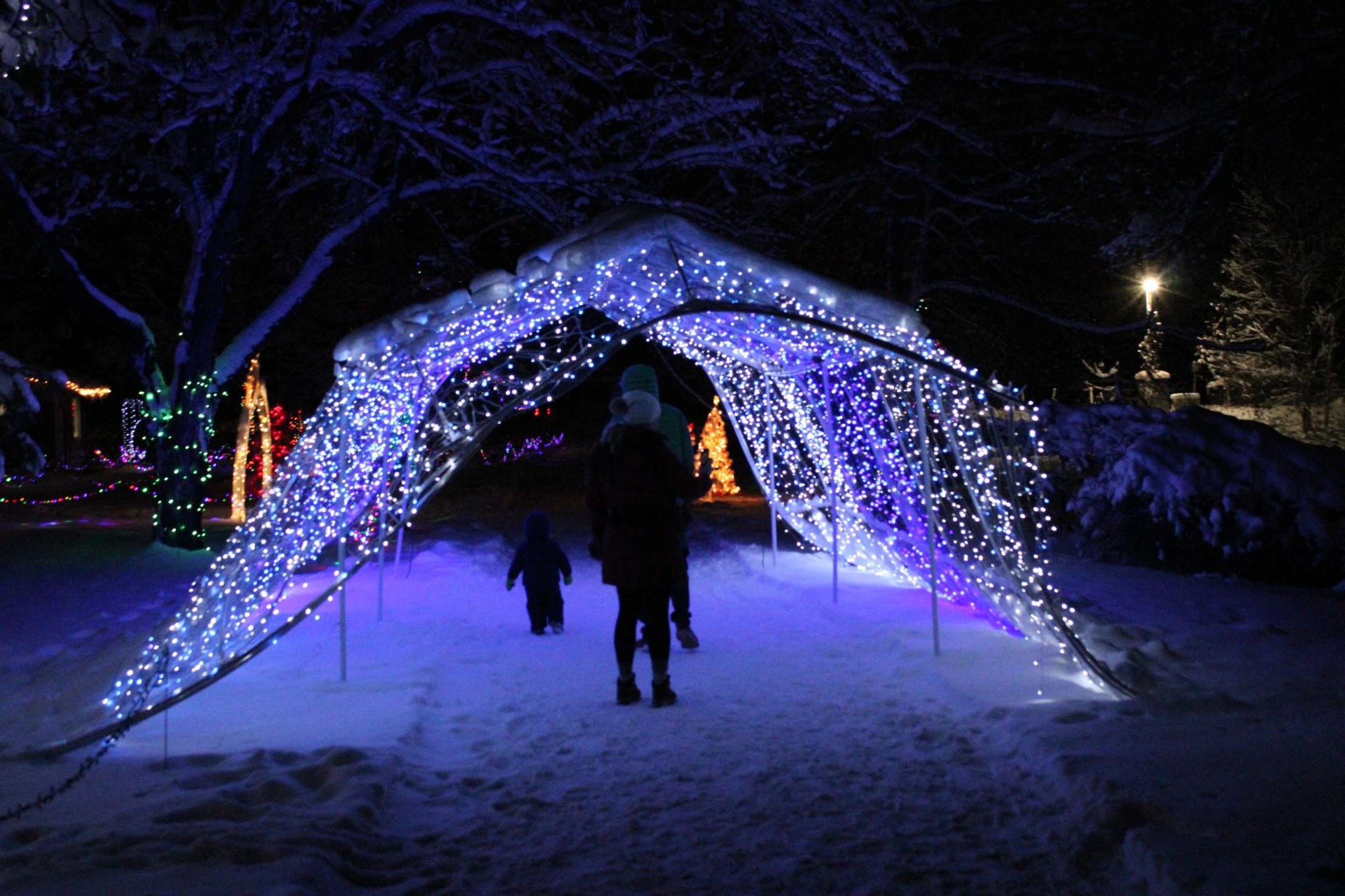 Wolske Bay Holiday Lights